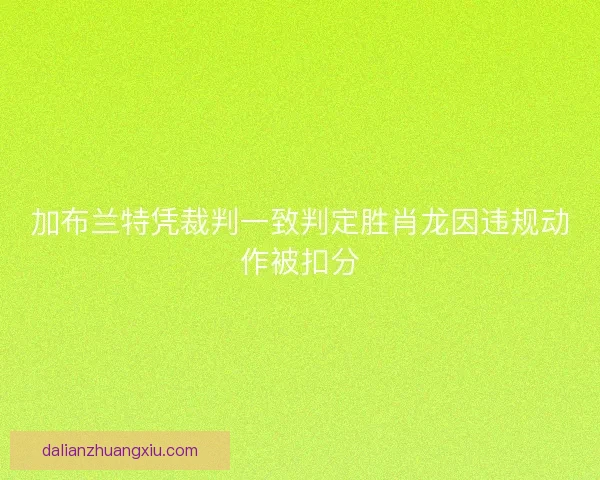 加布兰特凭裁判一致判定胜肖龙因违规动作被扣分