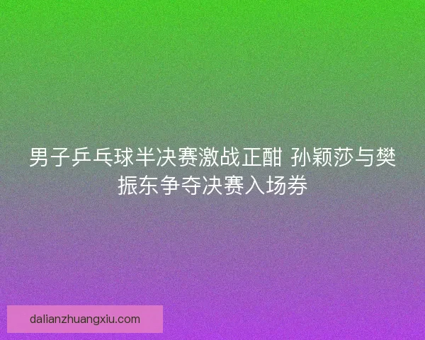 男子乒乓球半决赛激战正酣 孙颖莎与樊振东争夺决赛入场券 男子乒乓球半决赛激战正酣 孙颖莎与樊振东争夺决赛入场券